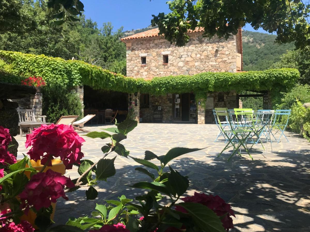 Bed and Breakfast A Muvrella Pioggiola Exterior foto